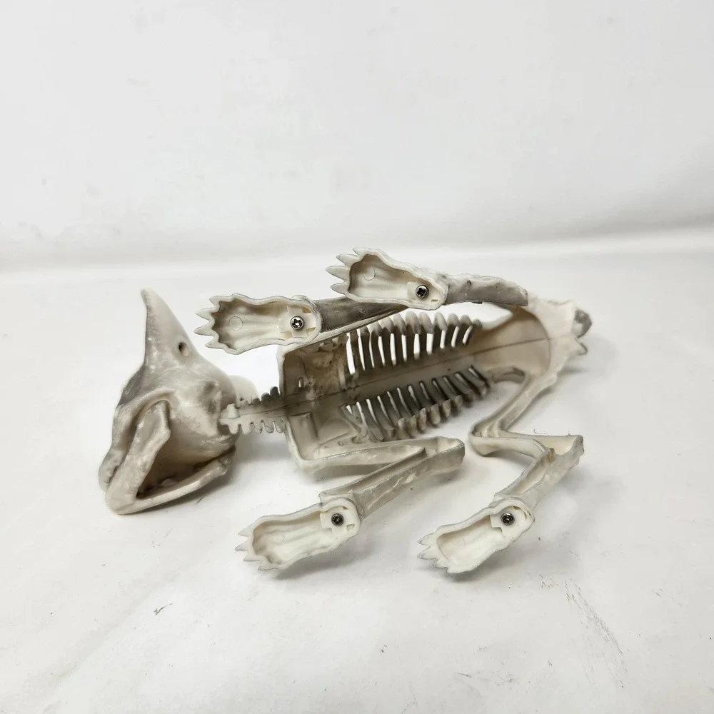 Seasons Halloween Cat Skeleton Prop Posable Tail Movable Jaw Spooky Decor